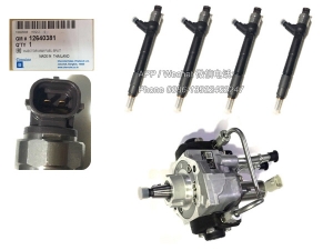 12640381,Chevrolet Injector and diesel pump